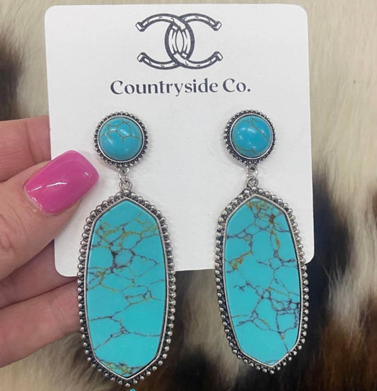 Marbled Turquoise Dangle Earring